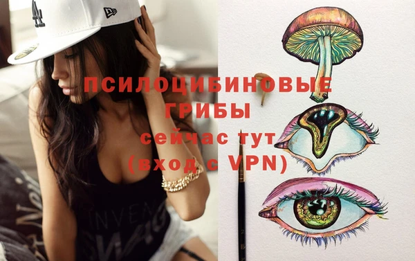 apvp Верхний Тагил